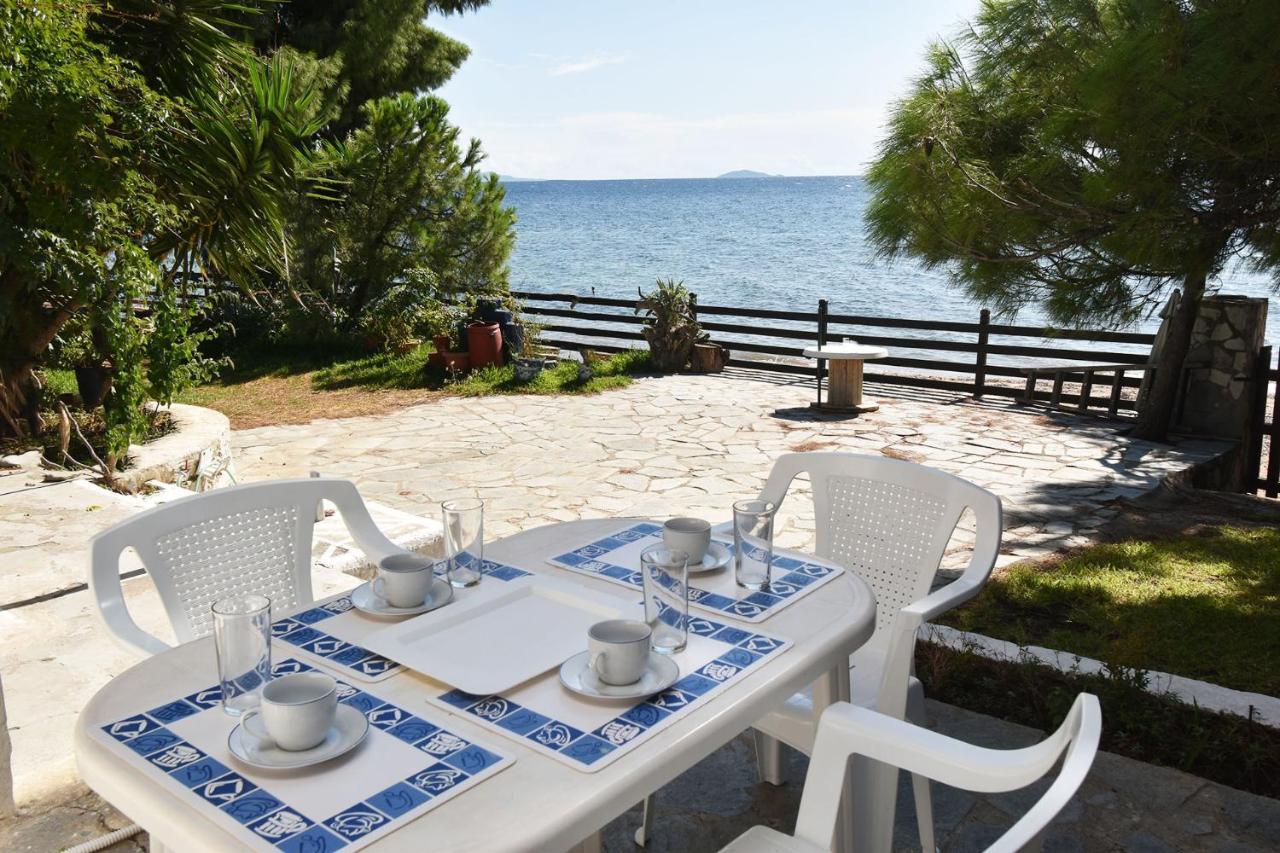 Barlee Beach Front House, Metamorfosi المظهر الخارجي الصورة