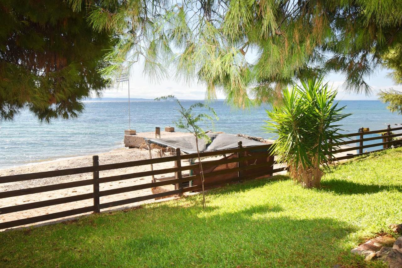 Barlee Beach Front House, Metamorfosi المظهر الخارجي الصورة