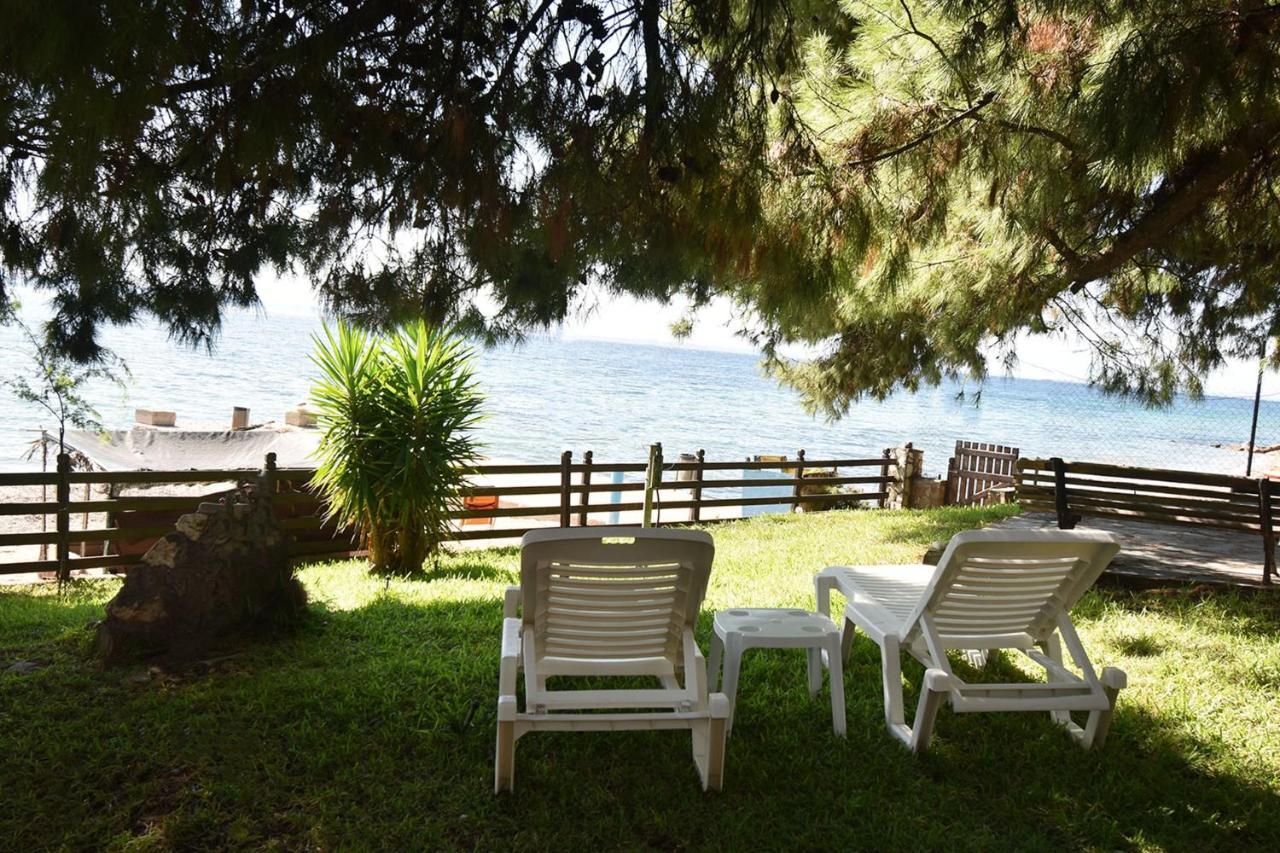 Barlee Beach Front House, Metamorfosi المظهر الخارجي الصورة